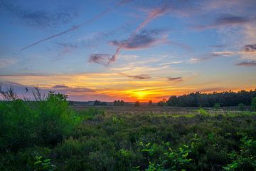 An expensive sky in the Dutch Nature on teh Veluwe RawBird Photo's Wouter Putter