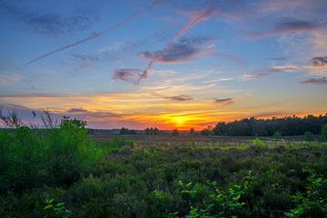 Avondrood op de hei in de Veluwen natuur RawBird Photo's Wouter Putter