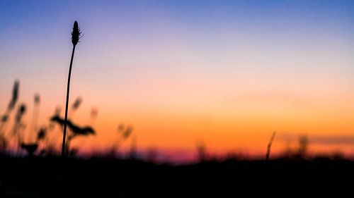 Der warme Sonnenuntergang