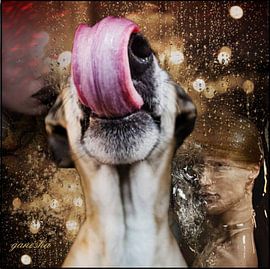 before you speak ,be sure your tonque is connected with your brain  by therese zwaay