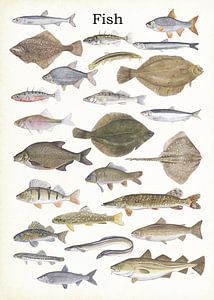 Poissons sur Jasper de Ruiter