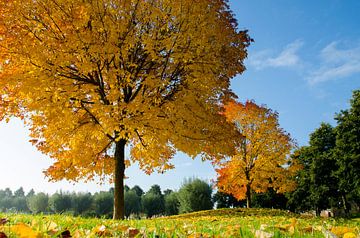 Autumn in Volendam von Jack Koning