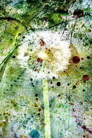 Dandelion and Watercolour 1 by Western Exposure