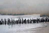 November day at the riverbank by Andreas Wemmje thumbnail