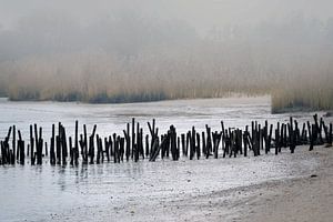 November day at the riverbank by Andreas Wemmje