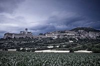 Assisi