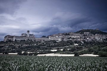 Assisi van Dennis Wierenga