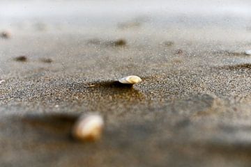 Sand grains by Inge van der Hart Fotografie