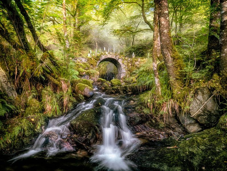 Le Pont des Elfes par Lars van de Goor