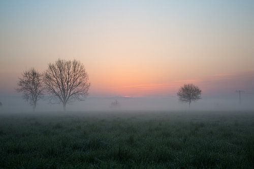 Voile de brume
