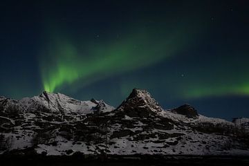 Nordlicht auf den Lofoten, Norwegen | Aurora Borealis scandinavia von Dylan gaat naar buiten
