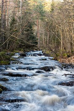 Schweden Landschaft 105 von Geertjan Plooijer