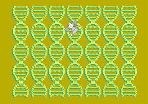 Anunnaki DNA Spacecraft Khaki-grün-gelb