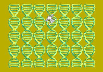 Anunnaki DNA Spacecraft khaki-groen-geel