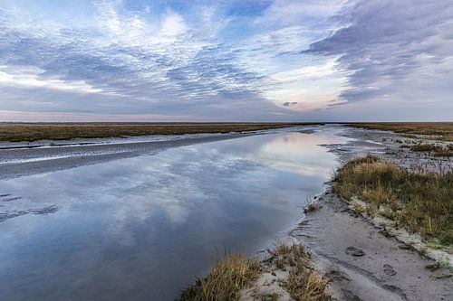 réflexion dans la marée sur Annett Mirsberger