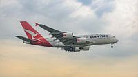 Landende Qantas Airbus A380 passagiersvliegtuig. van Jaap van den Berg thumbnail