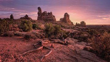 Arches Nationalpark von Photo Wall Decoration