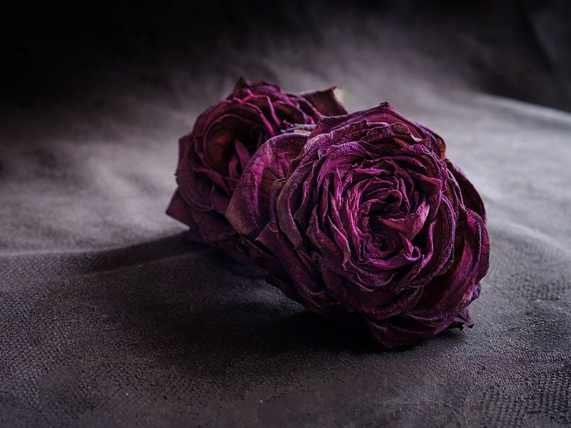 A still life with red roses by Boudewijn Vermeulen