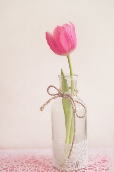 Rosa Tulpe in einer Vase von LHJB Photography