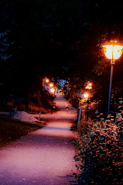 Utrecht - Straße nach Manenburg von Wout van den Berg