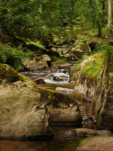 Kalte Bode im Harz