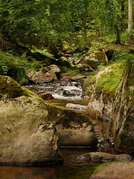 Kalte Bode River in the Harz Mountains van Jörg Hausmann