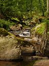 Kalte Bode River in the Harz Mountains van Jörg Hausmann thumbnail