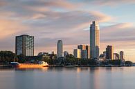 Rotterdam in warm ochtendlicht van Ilya Korzelius thumbnail