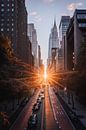 Manhattanhenge op 42nd street in New York City van Thea.Photo thumbnail