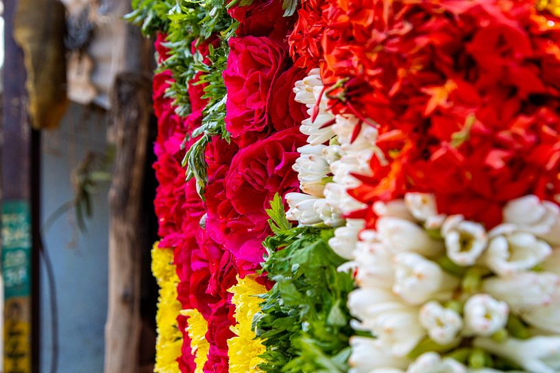 Colourful flowers at the Sri Ranganatha Swamy Temple, Trichy by Martijn