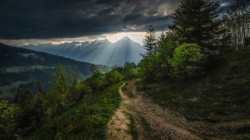 THE PATH OF LIGHT by Simon Schuhmacher