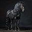 Friesian horse