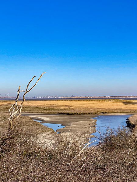 Natur von Truckpowerr