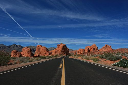 Road in the desert