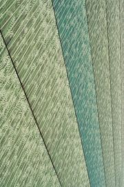Bamboo on a line by Lichtvang