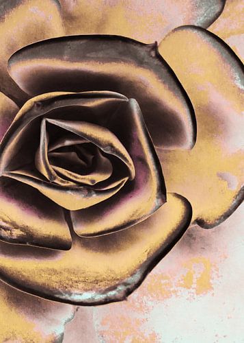 POPART VAN VETPLANTEN I-3