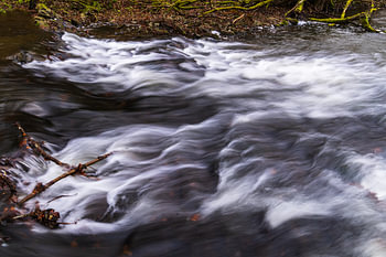 Wildbach