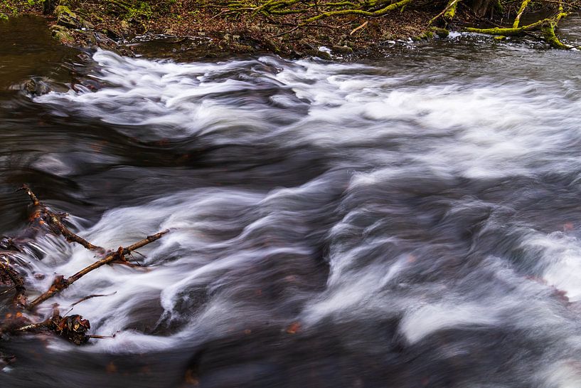 Torrent by Joel Layaa-Laulhé