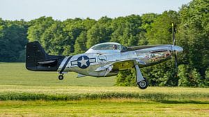 Eine landende North American TF-51D Mustang.