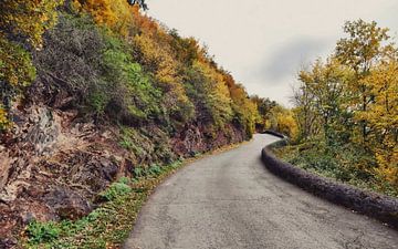 Autumn road van Goldeneyes