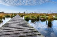 Hautes Fagnes par Heinz Grates Aperçu