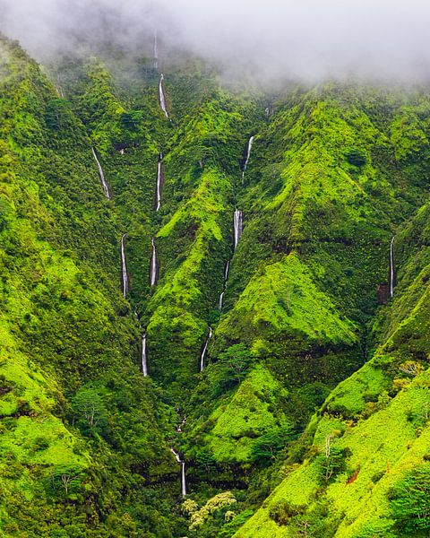 Kauai's Weeping Wall, Kauai, Hawaii by Henk Meijer Photography