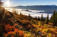 Wunderschöner Herbstmorgen im Gebirge