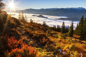 Wunderschöner Herbstmorgen im Gebirge
