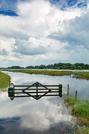High water reflection with fence at the ijssel by Peter Hermus