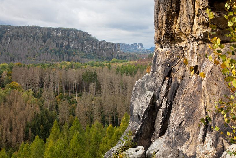 Vue de l'entrée du Schneiderloch à Kuhstall (Suisse saxonne / Montagnes de grès de l'Elbe) par t.ART