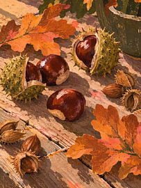 Kastanien und Herbstlaub auf dem Holztisch von Albert Klee