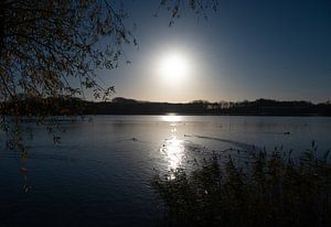 Le soleil d'hiver 3