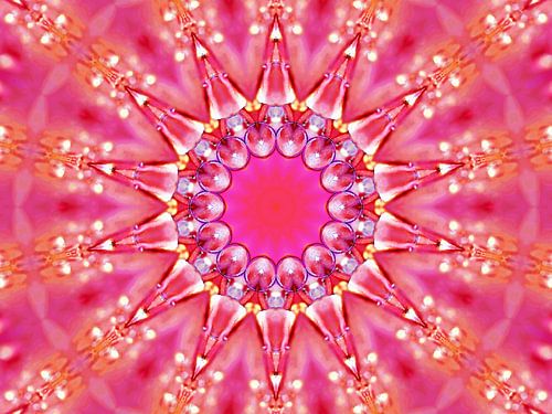 Fiësta Rosa  2 (Rozen Feest)