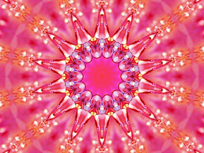 Fiesta Rosa 2 (Rosa-Fest) von Caroline Lichthart